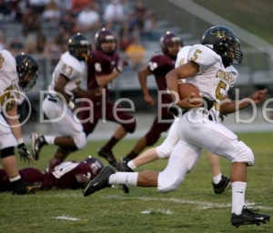 Bulldogs top Spiders